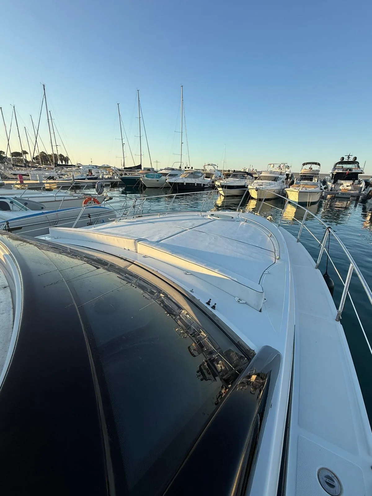 Rizzardi 45 Incredible bow sunpad